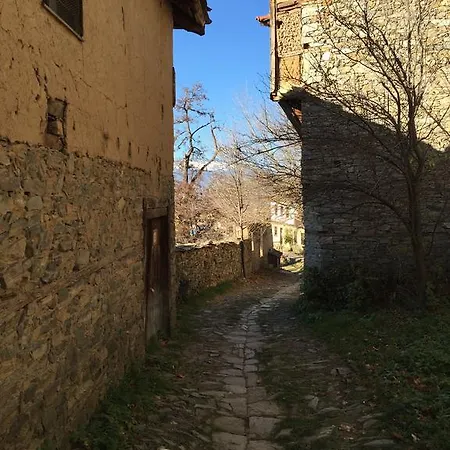 Lazovata House