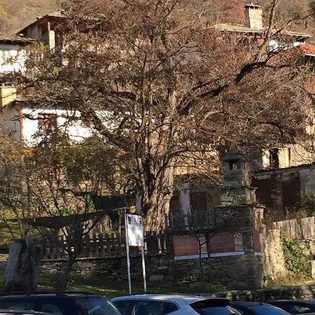 Lazovata House