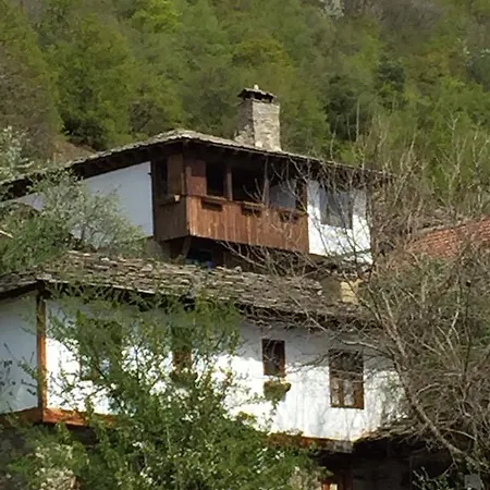 Konukevi Lazovata House Leshten