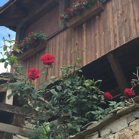 Konukevi Lazovata House